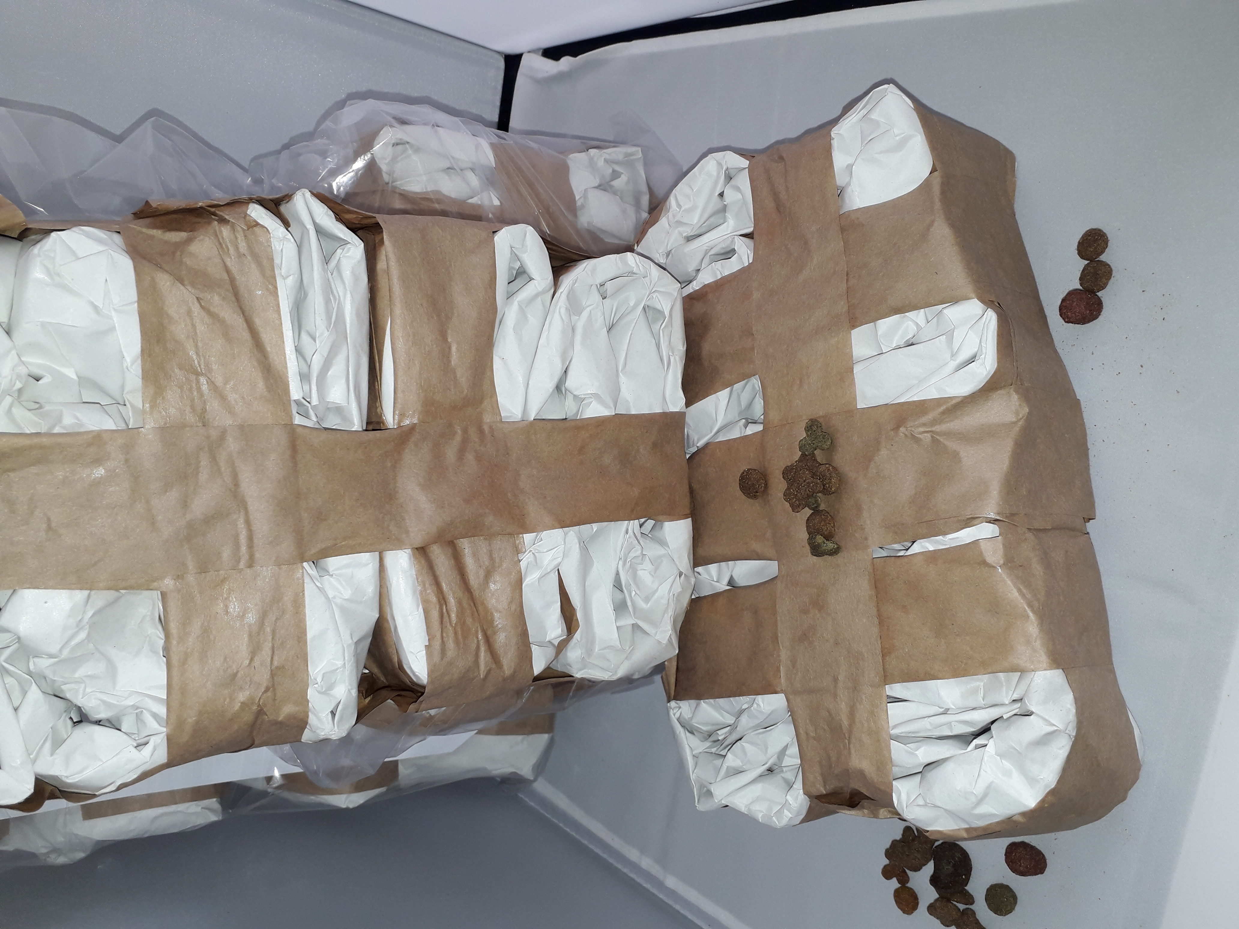 Dogiaction_Schnueffelteppich